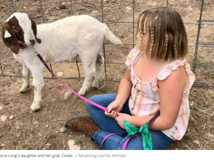 Young girl sits with her pet goat